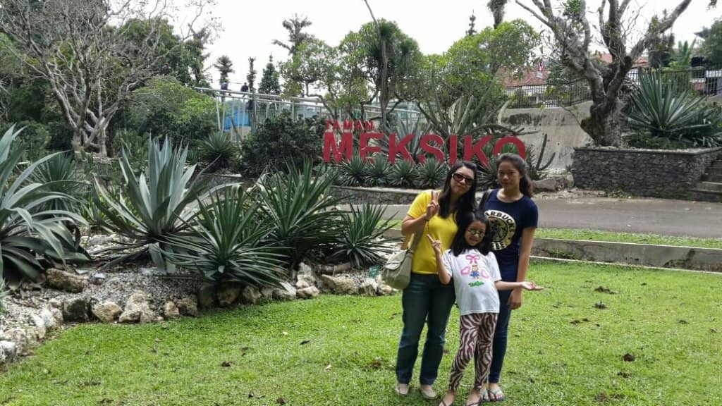 Palace Gardens