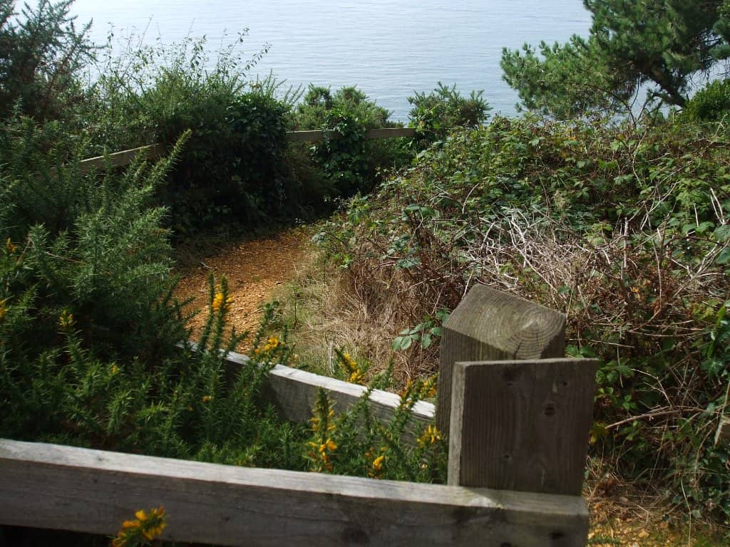 Panoramic Coastal Views