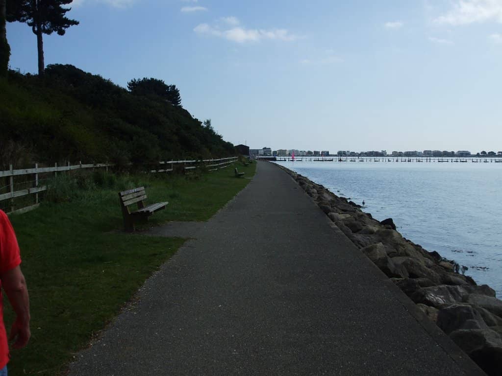 Picnic Spot Perfection