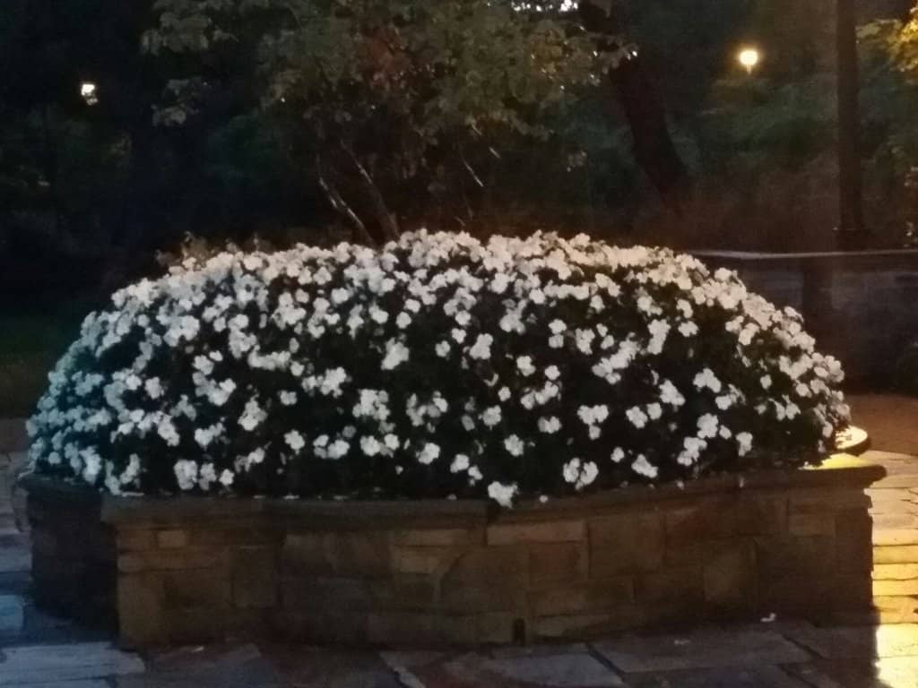 Picturesque Gardens