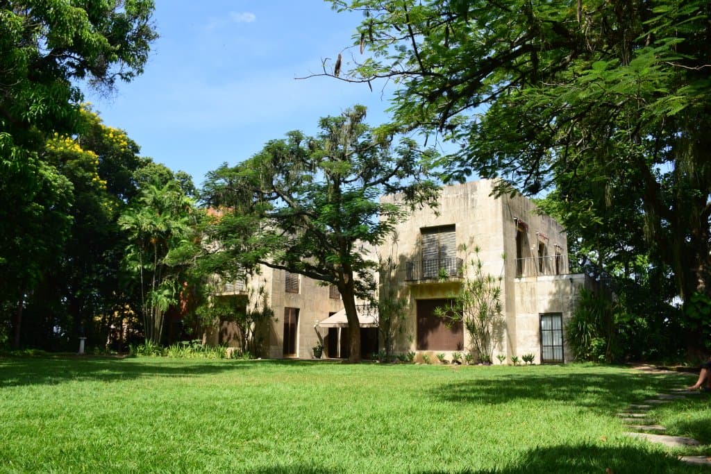 Boa opção para um lanche no gramado