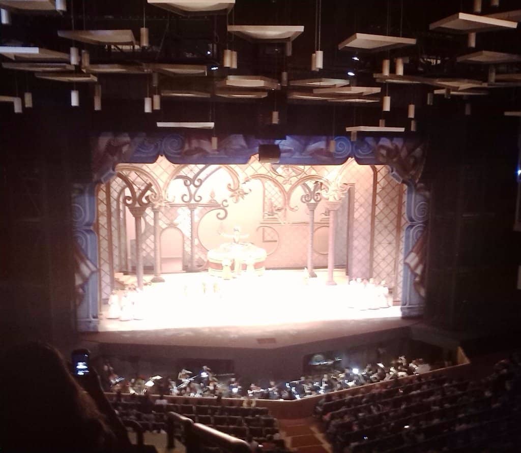 Ballet & Opera Performances