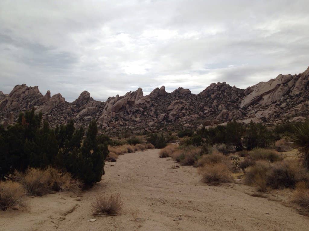 Scenic Drive