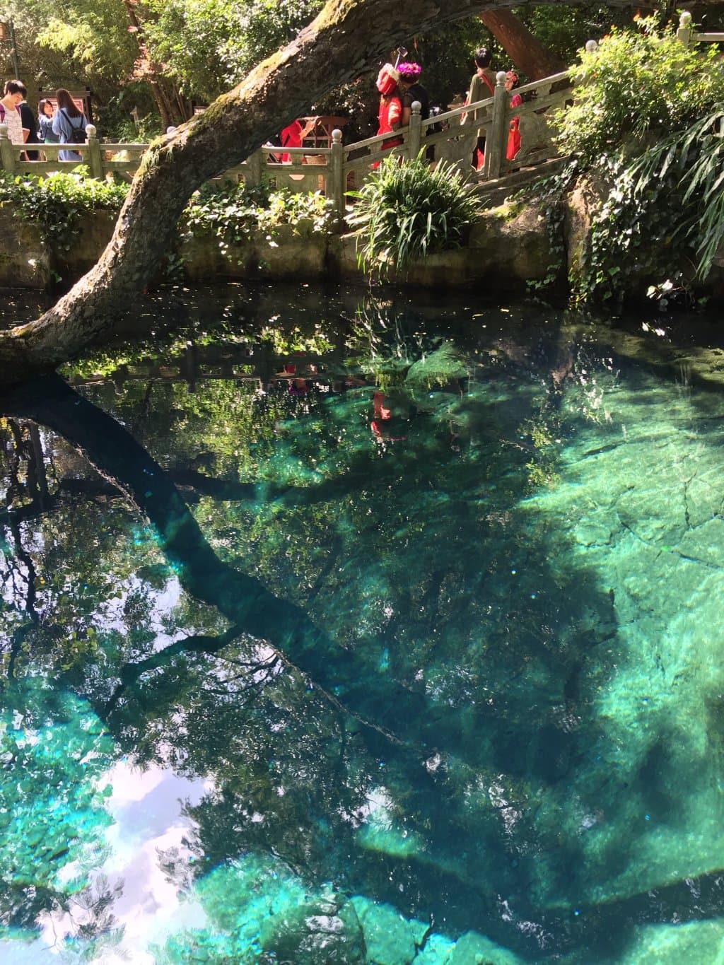 Butterfly Spring
