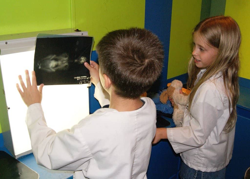 Dayton Children's Exhibit
