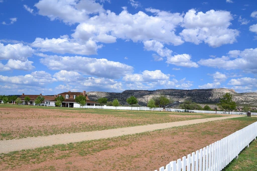 The grounds