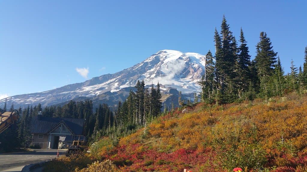Nisqually Vista Loop