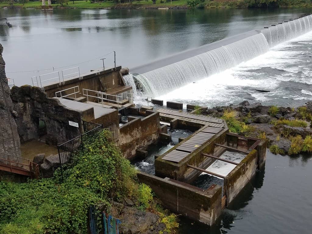 North Umpqua River Scenery