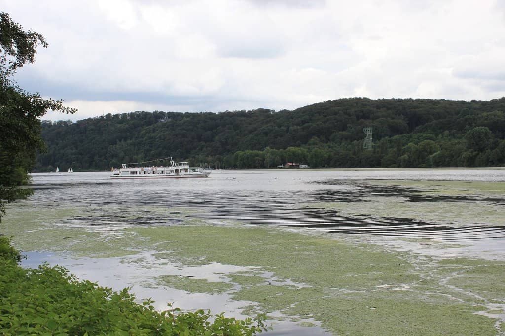 Paddleboarding & Water Sports