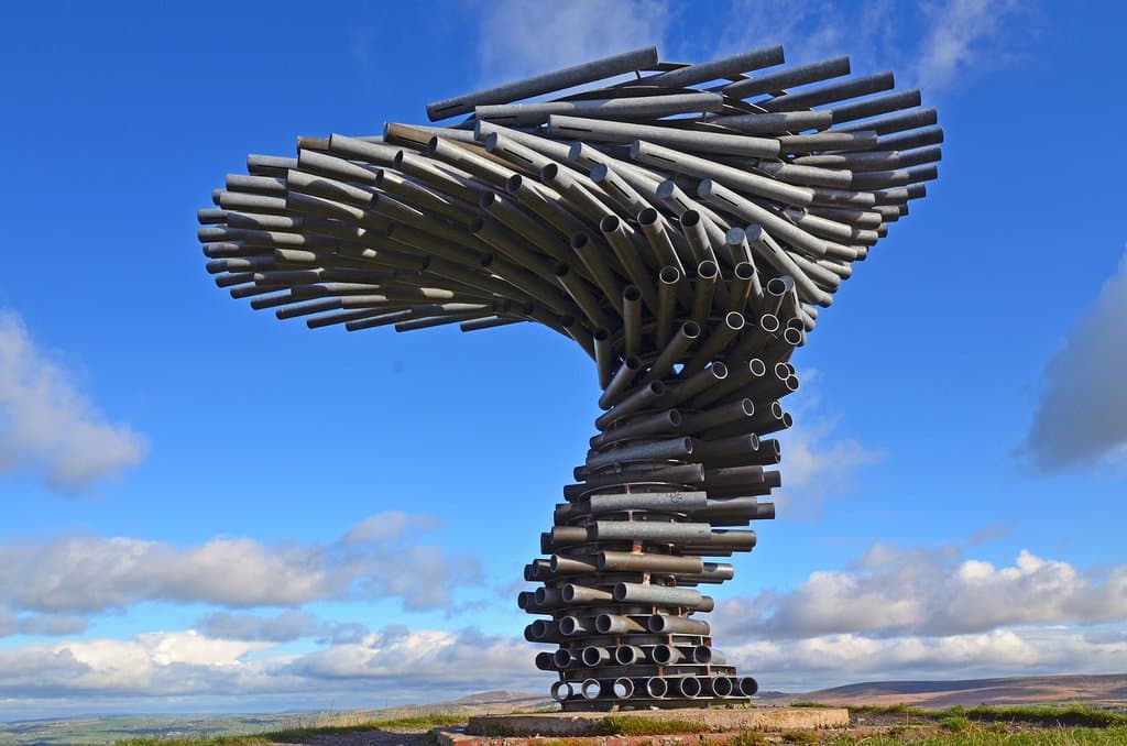 The 'TREE'