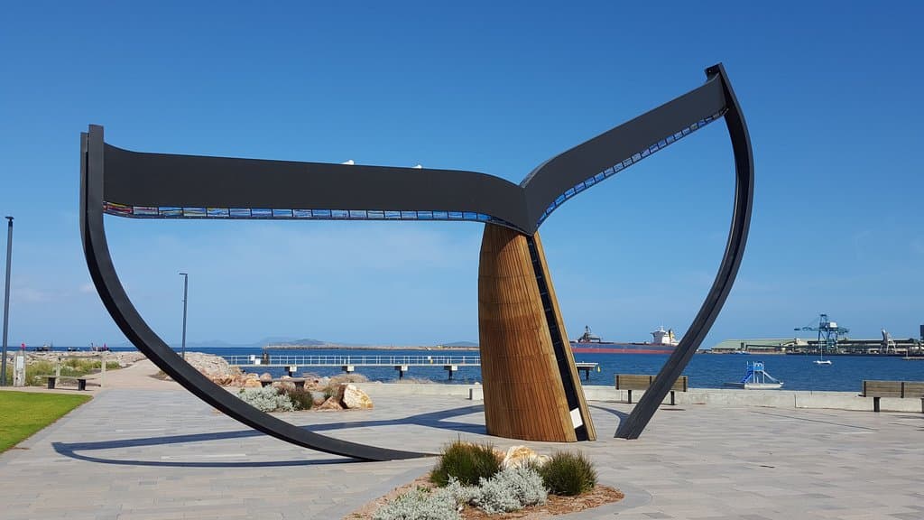 Esperance Whale Tail