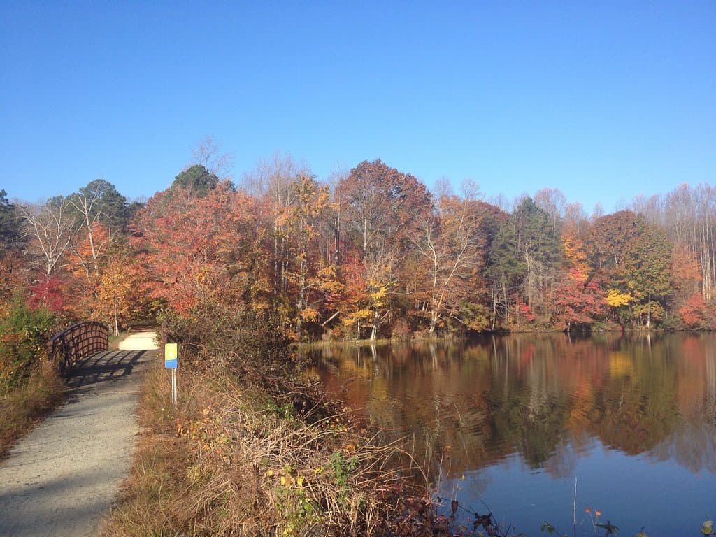 Lake view from the trail