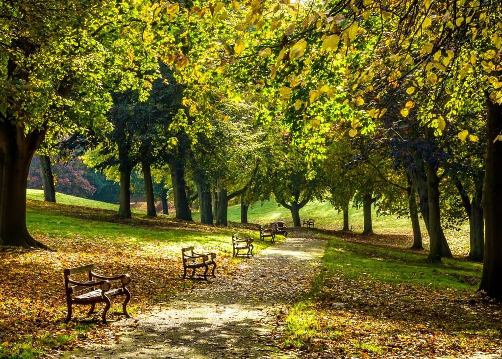 Park 9