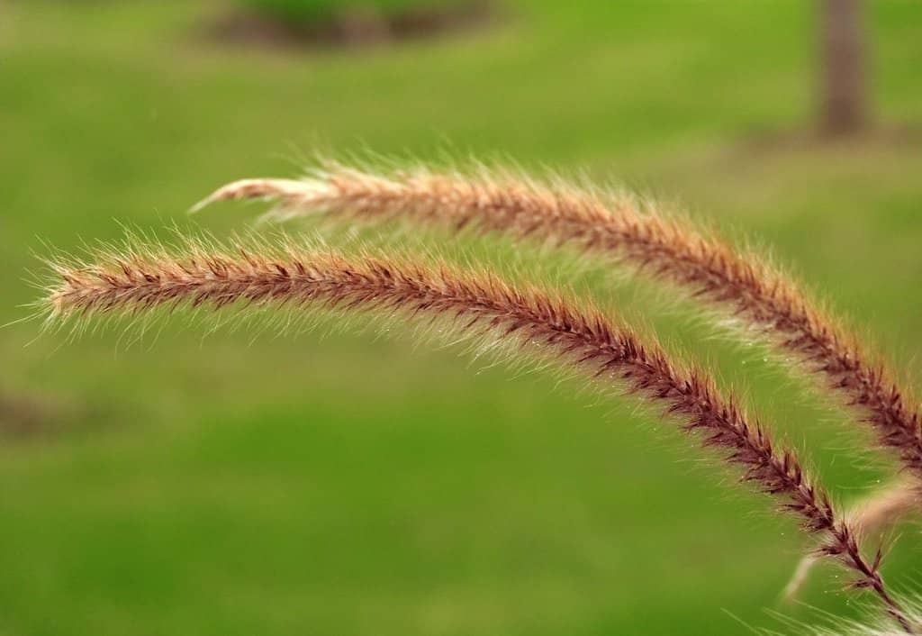 Architectural Marvels