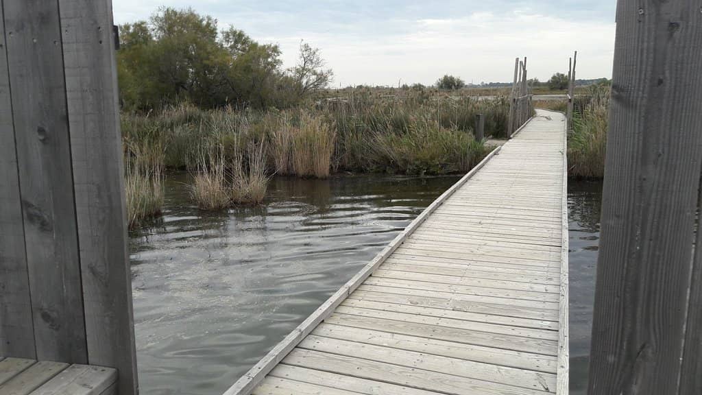 Marshland Trails