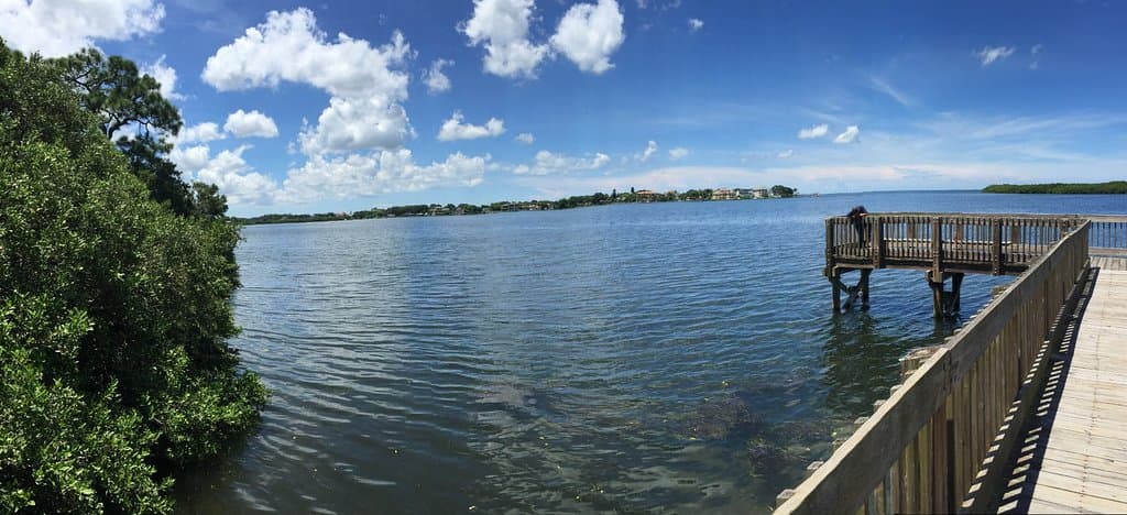 Gulf view