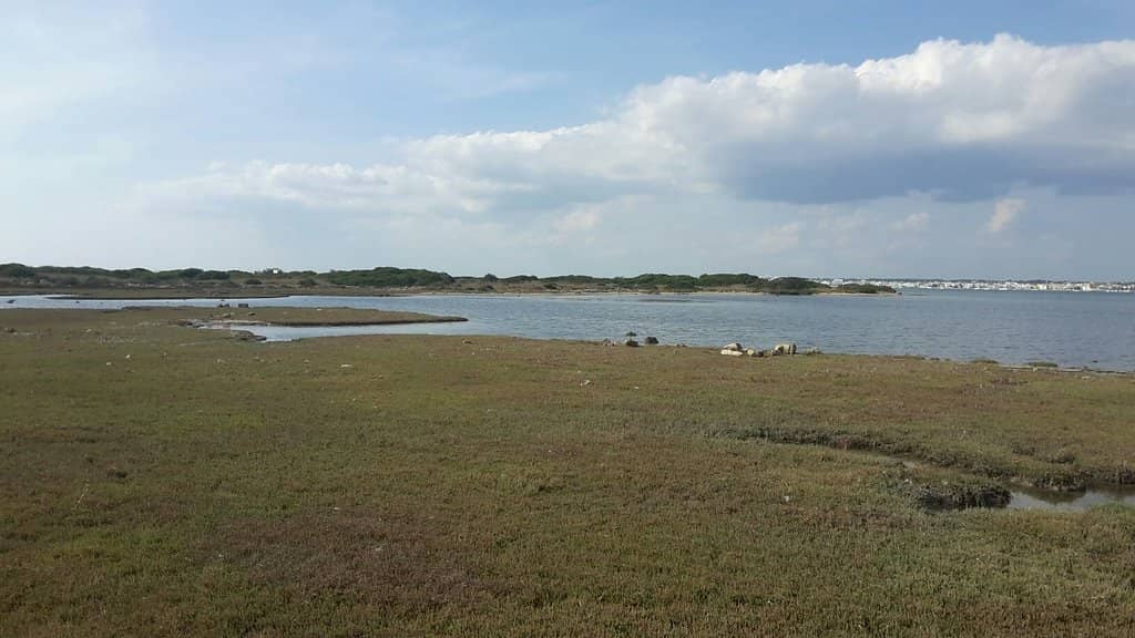Natural Pool of Torre Castiglione