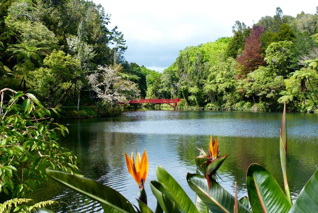 Lake view