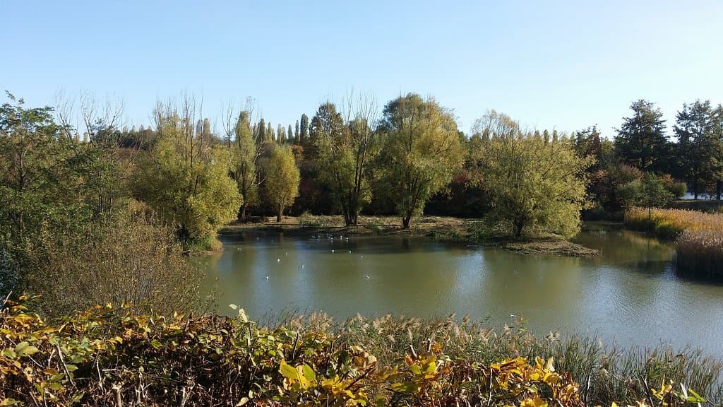 Parc départemental du Sausset