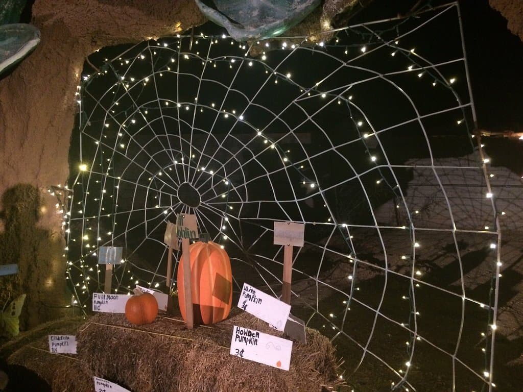 Valley of the Moon Sonoma