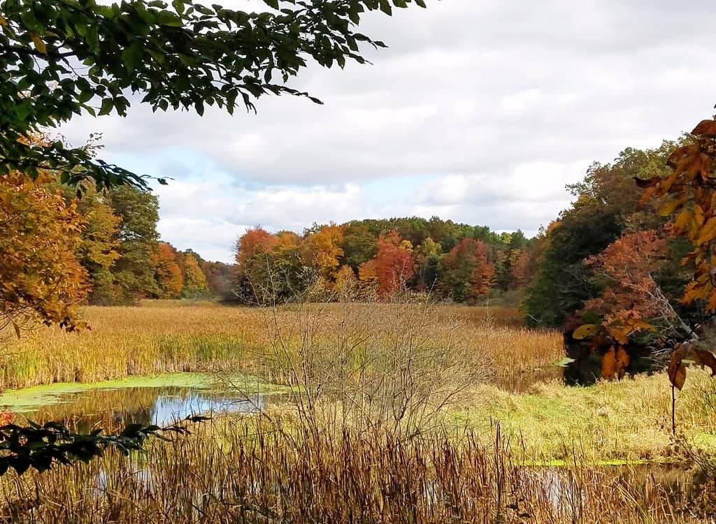 Well-Maintained Hiking Trails
