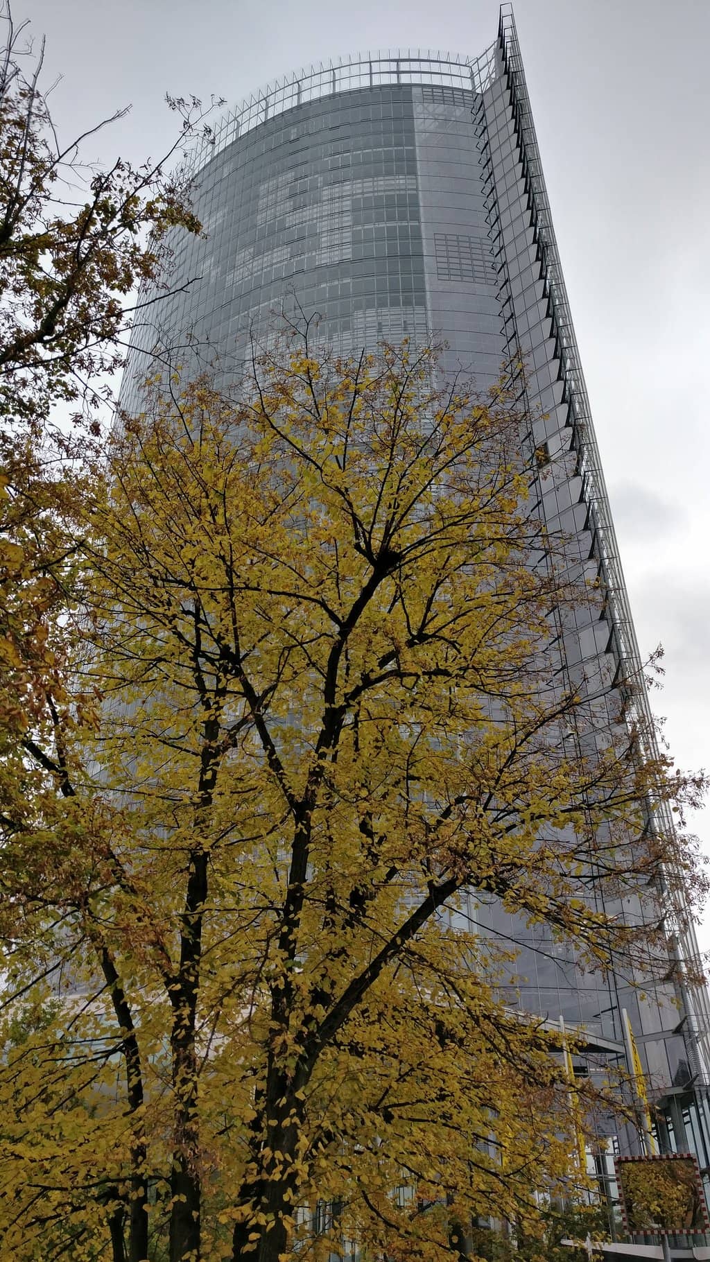 Vertical photo