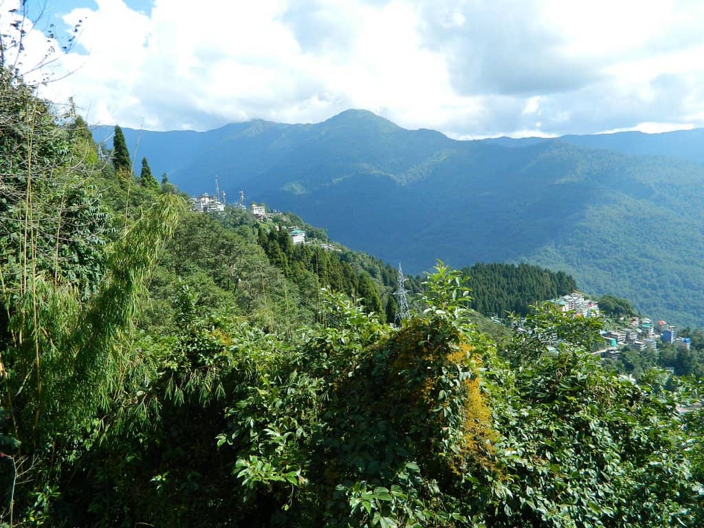 Panoramic Himalayan Views