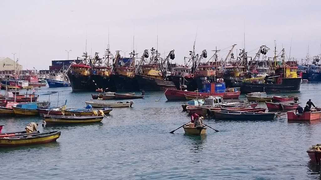 Mercado Central Arica
