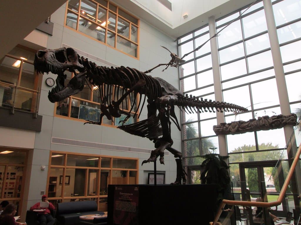 T. Rex in the lobby