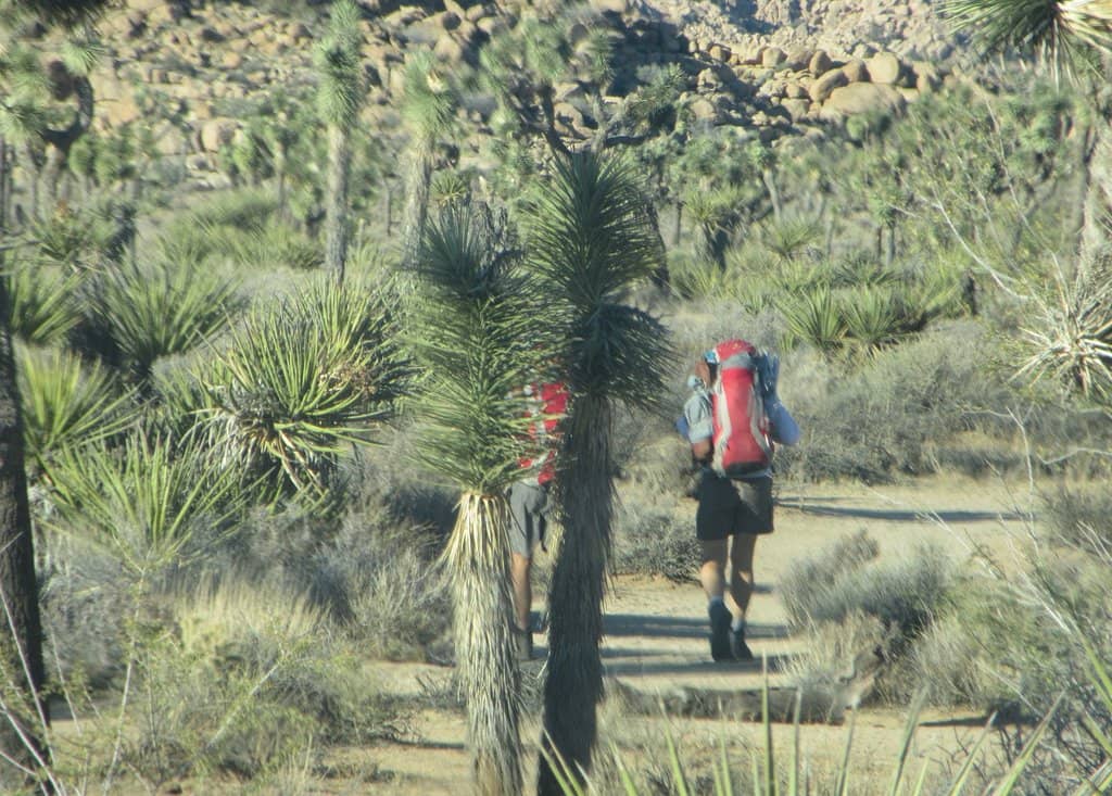 The Thrill of the Descent
