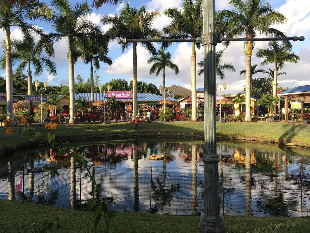 Cute place for Pumpkin Patch