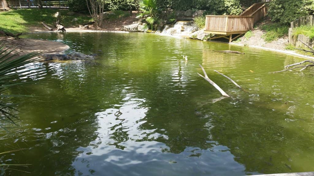 AquaGlow Night Event