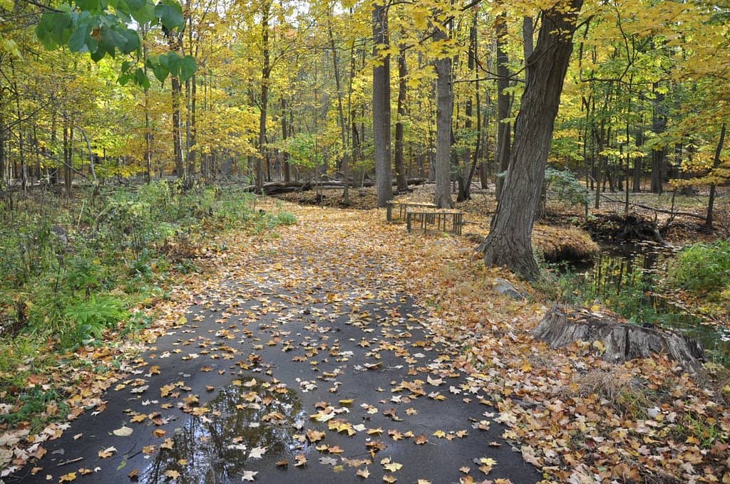 Charming Hiking Trails