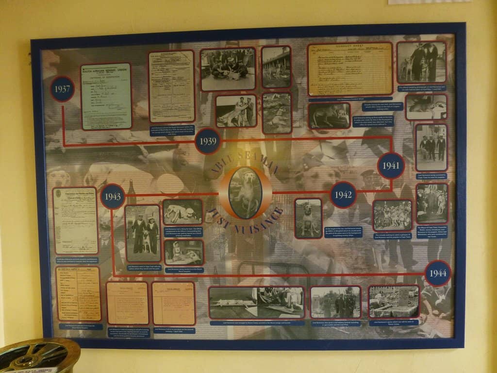 Diverse Community Histories