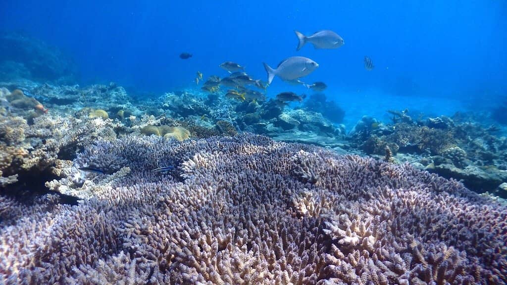 Crystal Clear Waters