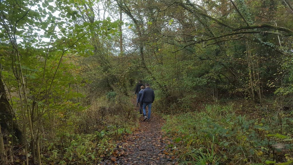 Woodland Trails & Wildlife