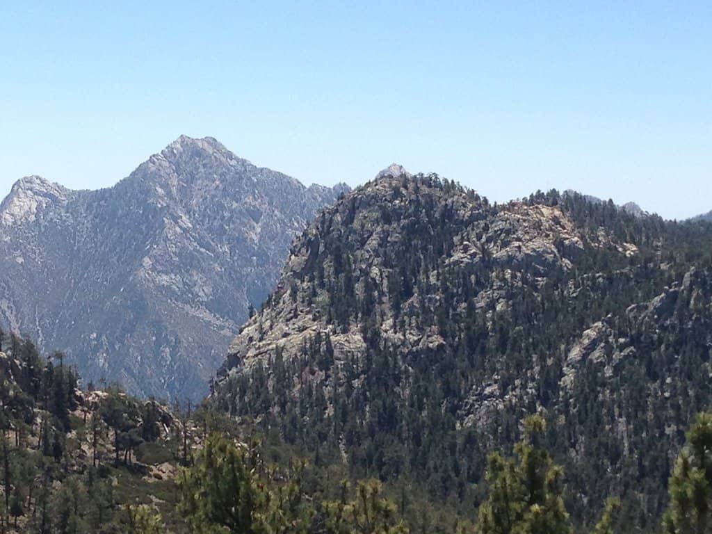 California Condor Sightings