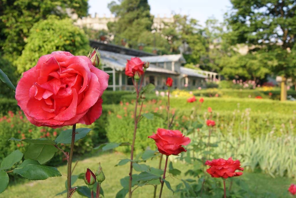 Villa Borghese Cavazza