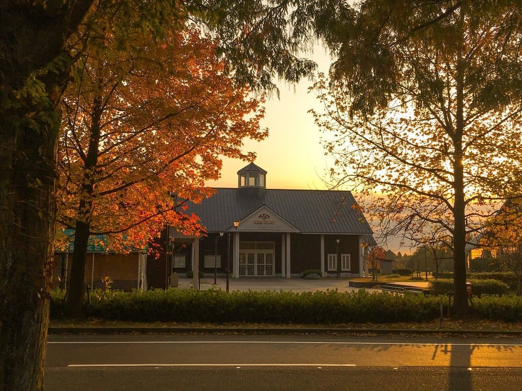 Makino