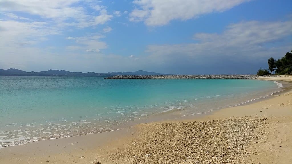21st Century Forest Park and Beach