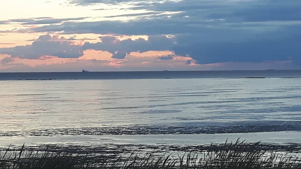 Expansive Tidal Flats