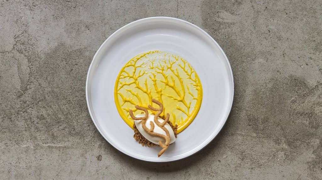 Innovative New Nordic Cuisine