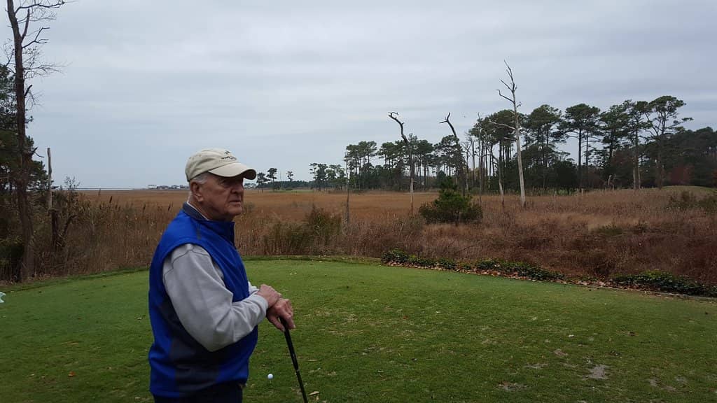 Scenic Salt Marsh Views