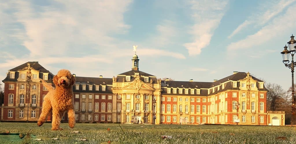 One my favourite places in Münster.