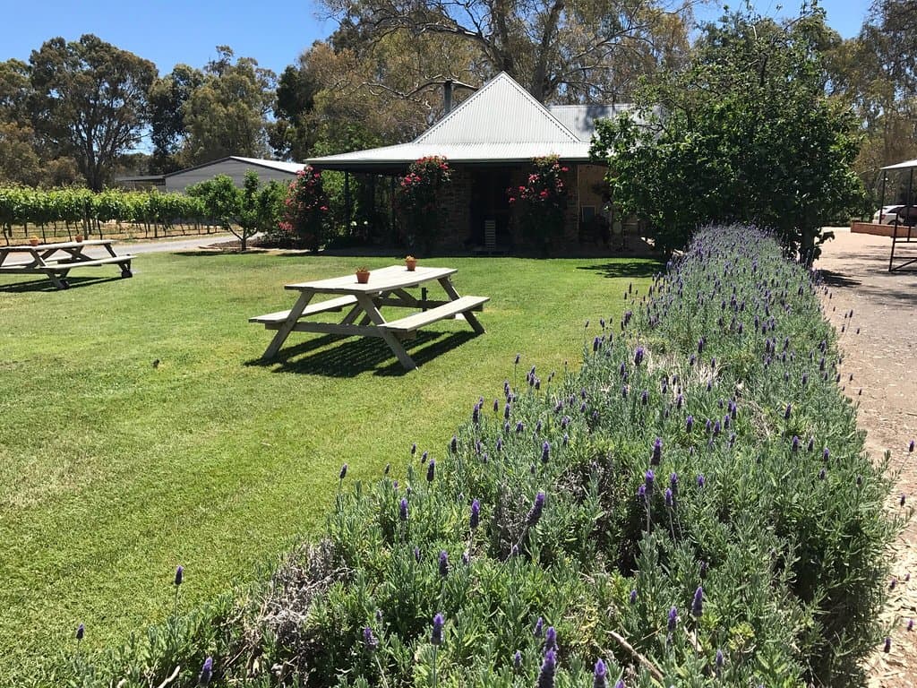 Turkey Flat Vineyards