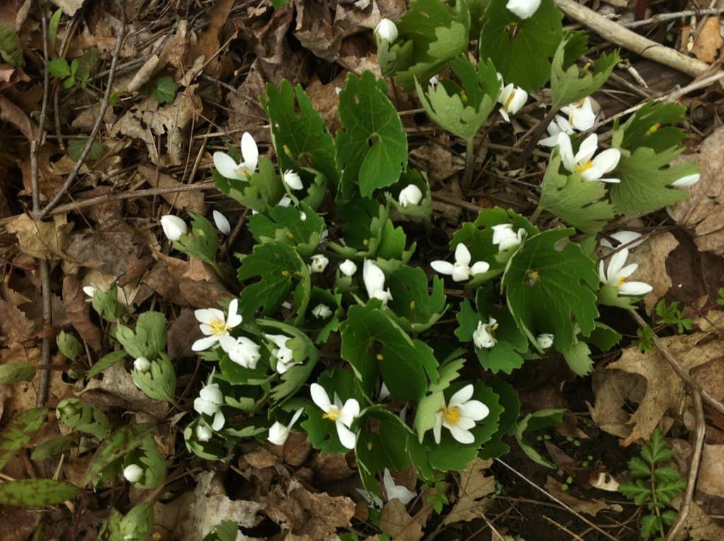 Long-Distance Biking