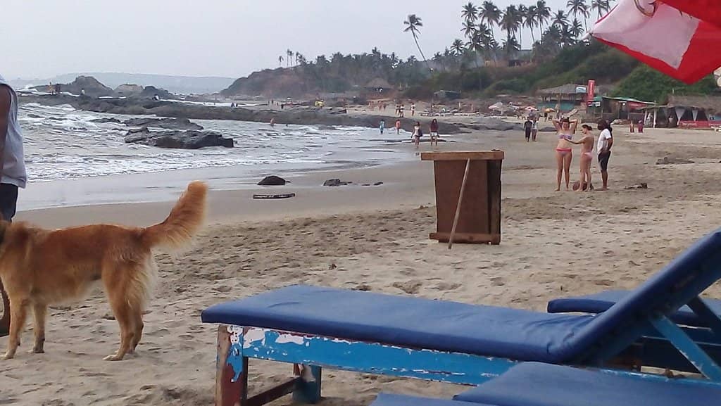 Relaxed Beach Vibe