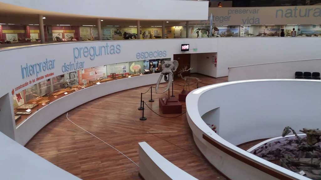 Paleontological Collection