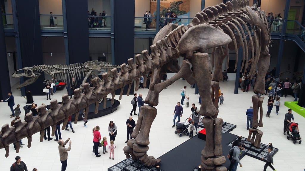 Centro Culturale Altinate San Gaetano