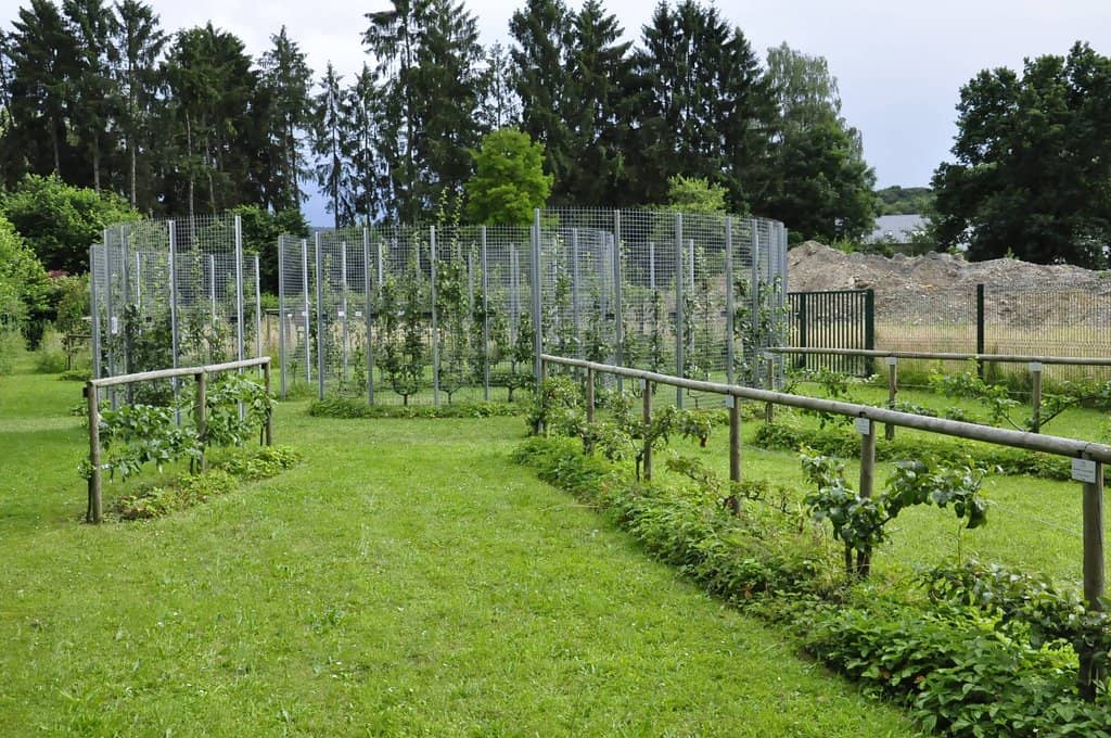 Interactive Exhibits